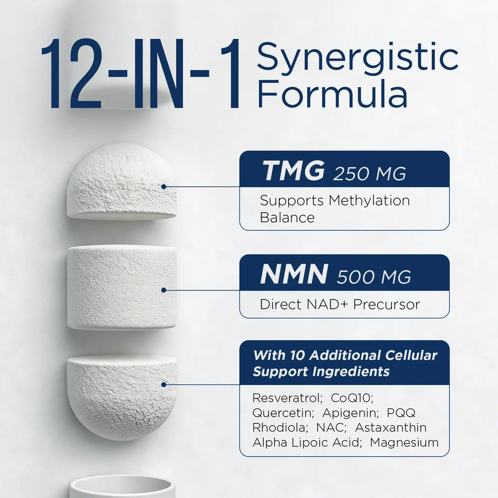 BrainCharge liposomal NMN supplement bottle for NAD+ energy and focus support