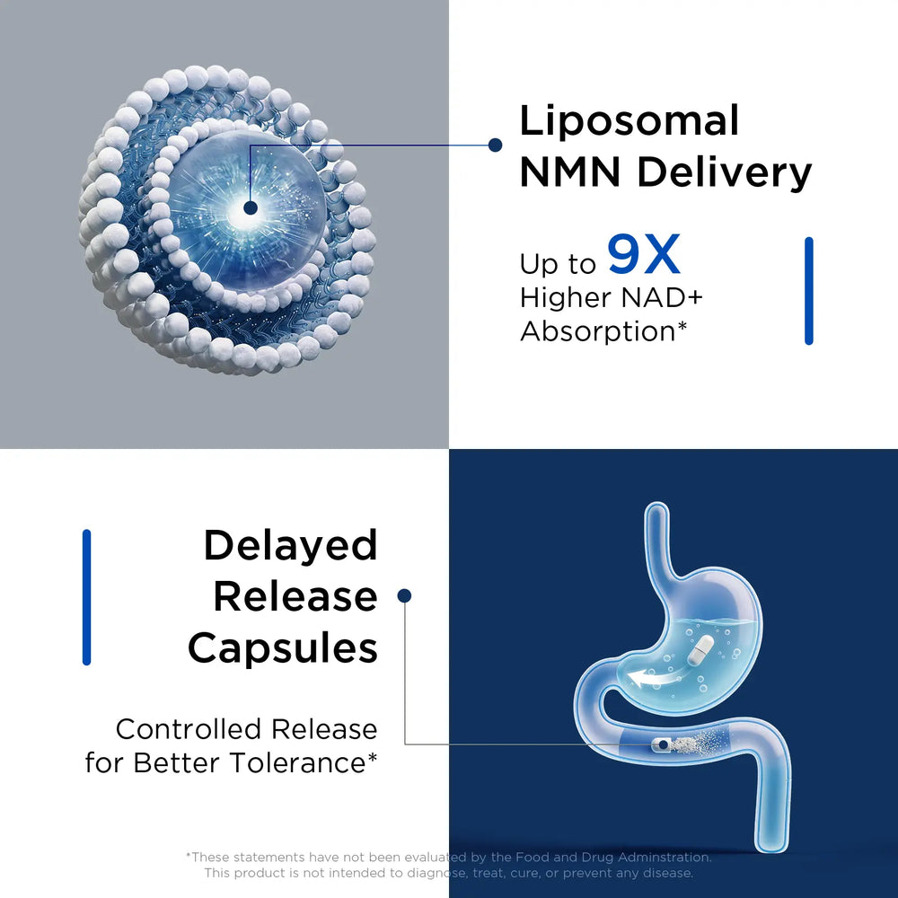 BrainCharge liposomal NMN supplement bottle for NAD+ energy and focus support