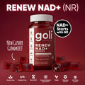 YouthCell Boost NAD+ Support Formula